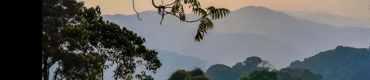 8-Day Day Rwanda Gorilla & Chimpanzee Trekking Safari