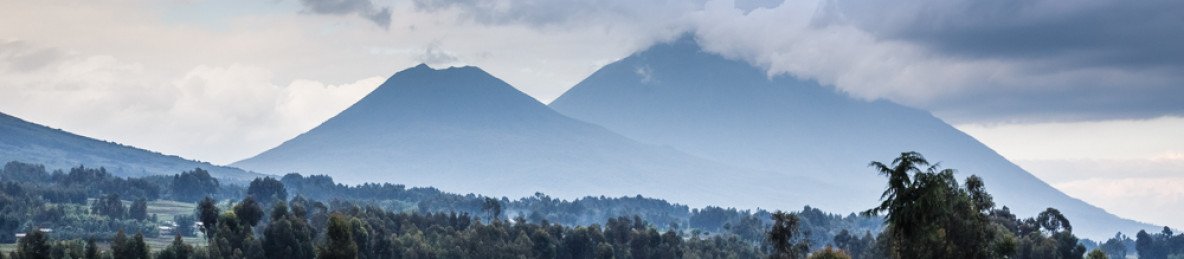 1-Day Golden Monkey Trekking Tour