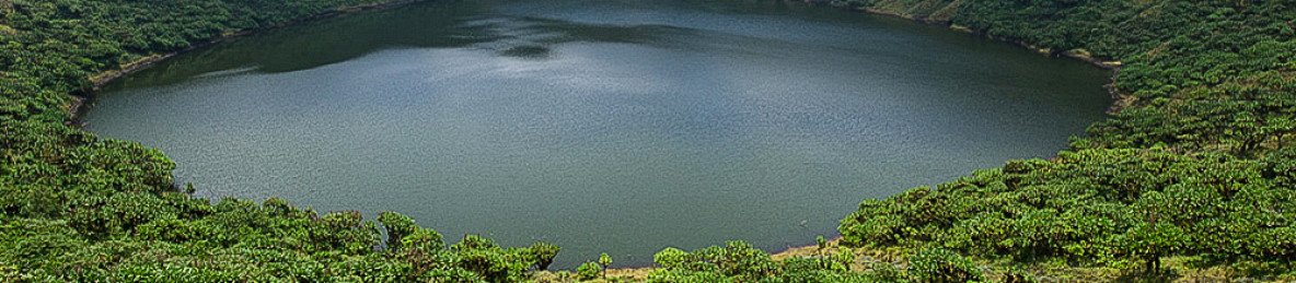 1-Day Mount Bisoke Volcano Hike in Rwanda