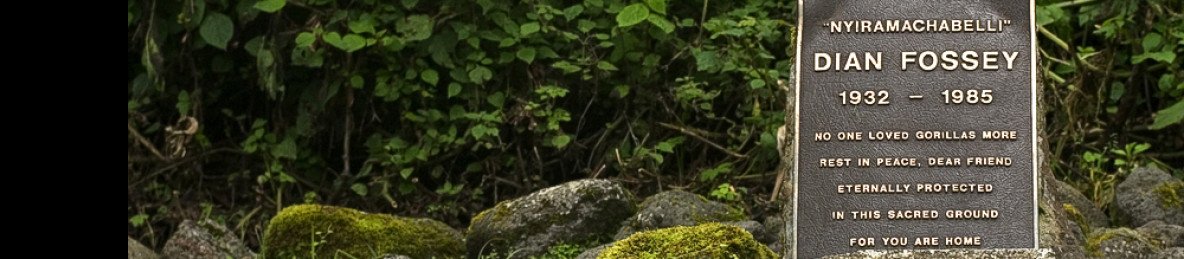 1-Day Discover the Heart of Rwanda