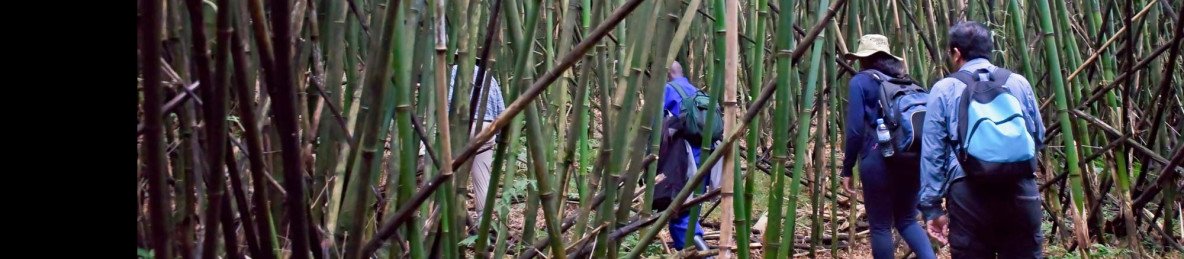 4-Day Rwanda – Uganda-Budget Adventure Beyond Borders