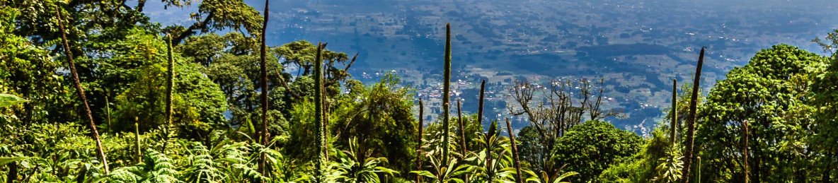 1-Day Mountain Bisoke Hike-Rwanda's Volcanic Majesty