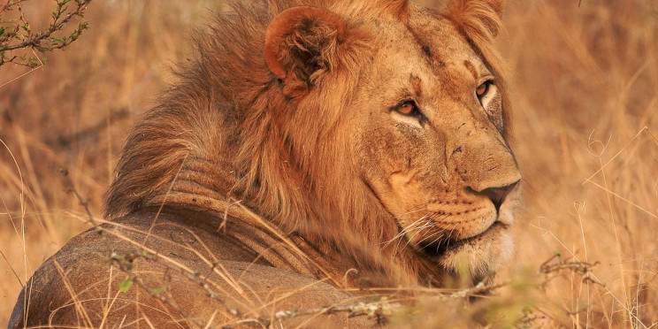 3-Day Akagera National Park and Unva Muhazi Tour