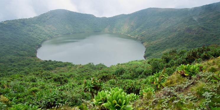 1-Day Hike to Bisoke's Summit