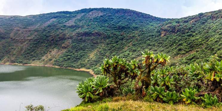 1-Day 1-Day Hiking Mount Bisoke to Crater Lake