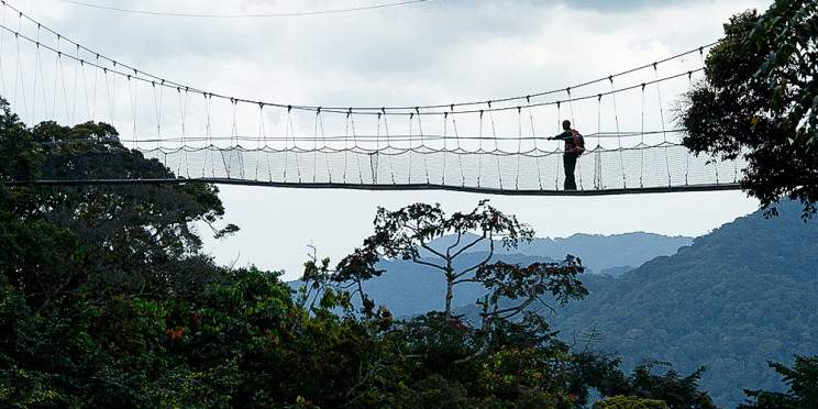 13-Day Uganda-Rwanda Primate & Safari Experience