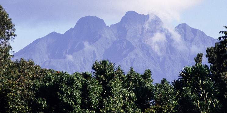 4-Day Rwanda Volcanoes Bisoke, Dian Fossey & Monkey Trek