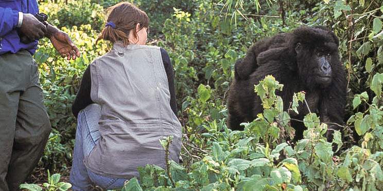 6-Day Rwanda Primate Adventure Tour