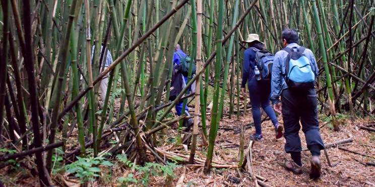 4-Day Rwanda – Uganda-Budget Adventure Beyond Borders
