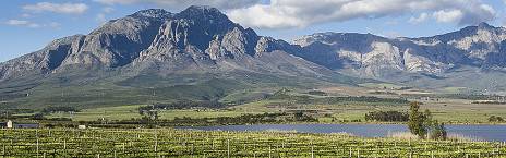 ½-Day Cape Winelands Tour