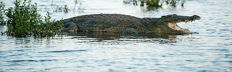 3-Day Kruger National Park Camping Safari