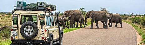 2-Day Luxury Ivory Moon Kruger Safari