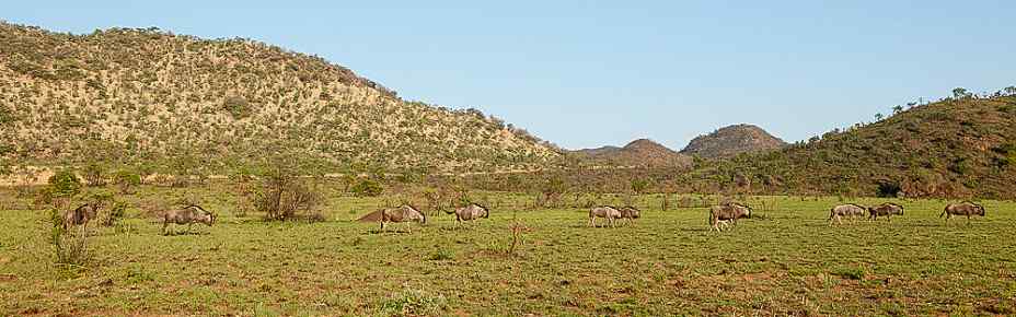 4-Day Ivory Tree Lodge All Inclusive Safari Package