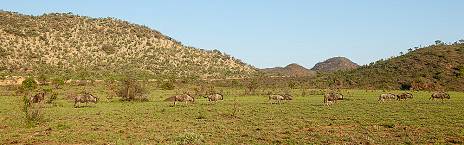 2-Day Sundown Country Estate Hotel Safari
