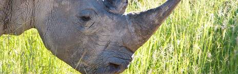 3-Day Sundown Country Estate Hotel Safari