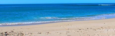 3-Day Garden Route Coast Safari Tour