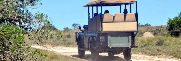 Arrive at Amakhala Safari Lodge