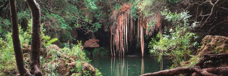 Morning Bush Walk and Boat Trip on the Blyde Dam