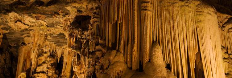 Cango Caves & Elephant Encounters