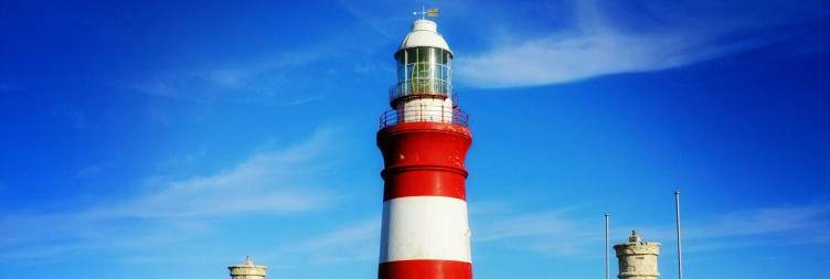2-Day Mid-Range Garden Route Adventure