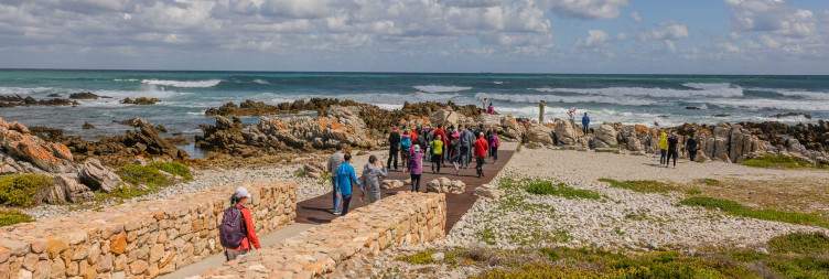 Cape Town – Hermanus – Cape Agulhas