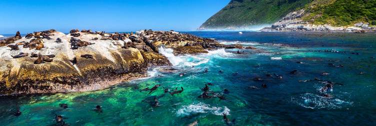 ½-Day Full Peninsula Scenic Flight