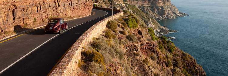 Cape Peninsula Tour