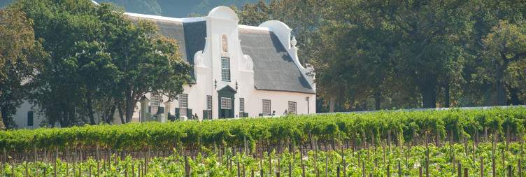 Winelands – Cape Vineyards