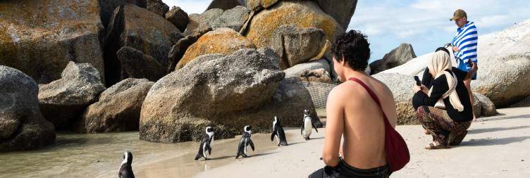 Cape Peninsula Tour