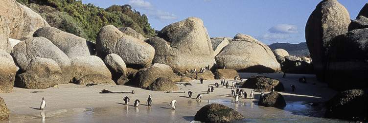 Cape Town