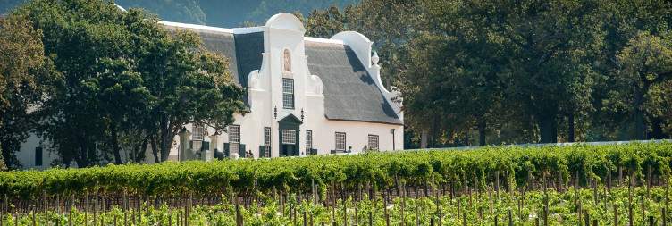 Half-Day Winelands Tour