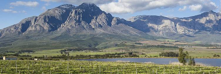 ½-Day Cape Winelands Tour