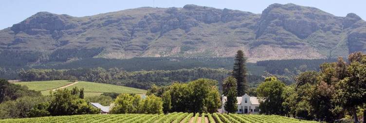 Cape Winelands Discovery