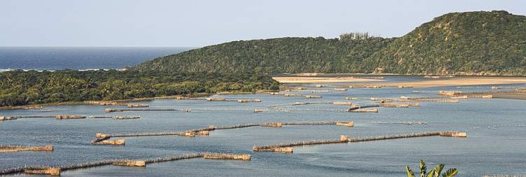 Transfer and explore the Elephant Coast Route