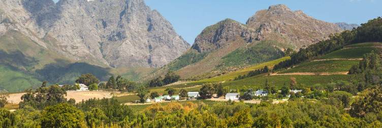 Cape Winelands