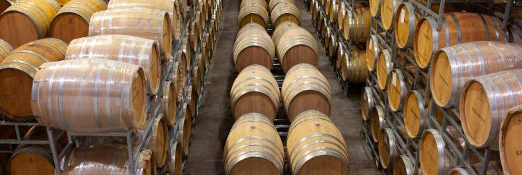 Cape Winelands Tour