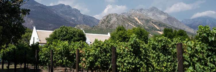 Enjoy the Winelands