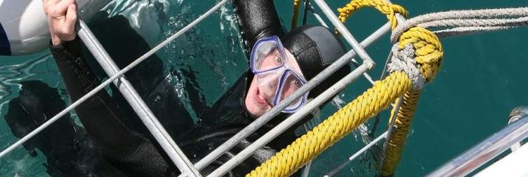 ½-Day Cape Town Helicopter Flight & Shark Cage Dive