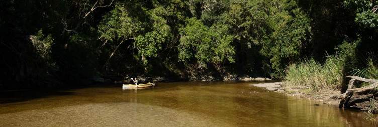Your Garden Route Experience Begins