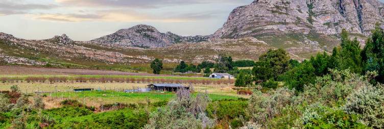 Mountain Passes, Ostriches & Underground Wonders