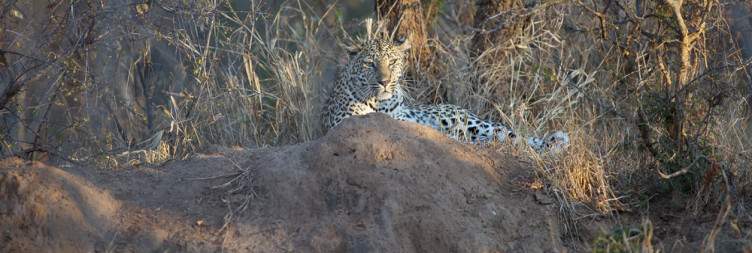 Johannesburg to Hoedspruit