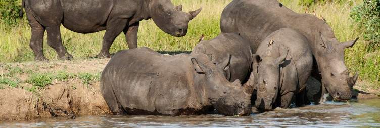 Johannesburg To Kruger National Park(Letaba)