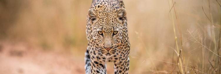 Kruger National Park