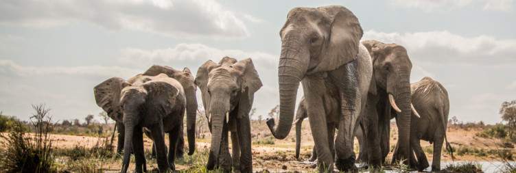 Kruger National Park