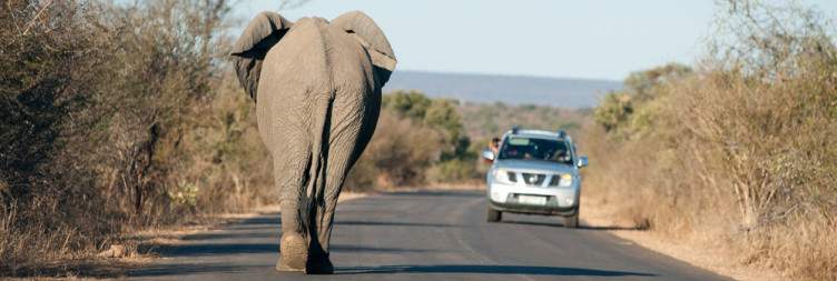 Johannesburg to Kruger National Park (Berg en Dal Rest Camp)