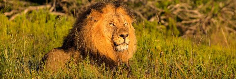 Road Trip to Lalibela Game Reserve