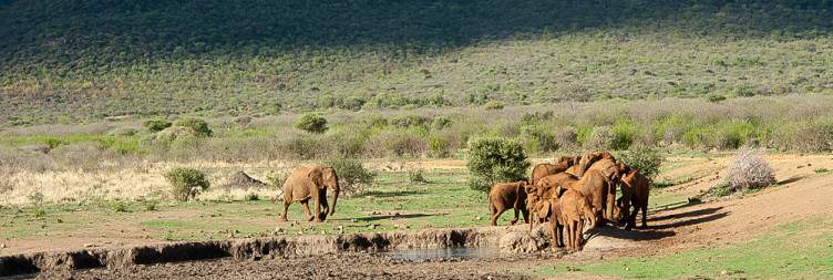 Safari Lodge Arrival