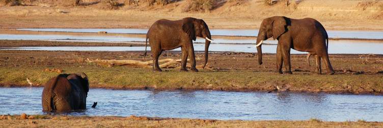 Check in at Honeyguide Mantobeni Camp