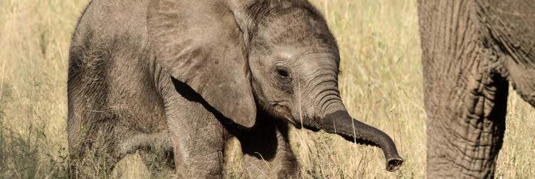 Johannesburg - Olifants West Nature Reserve