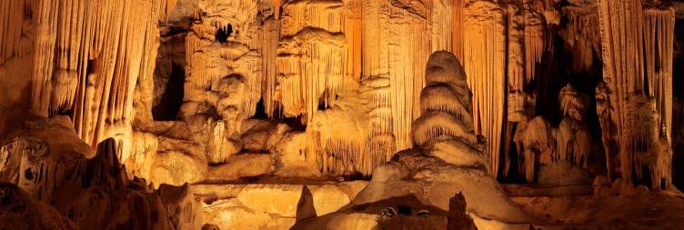 Cape Winelands to Oudtshoorn